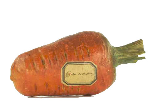 Modèle de carotte de Chatenay